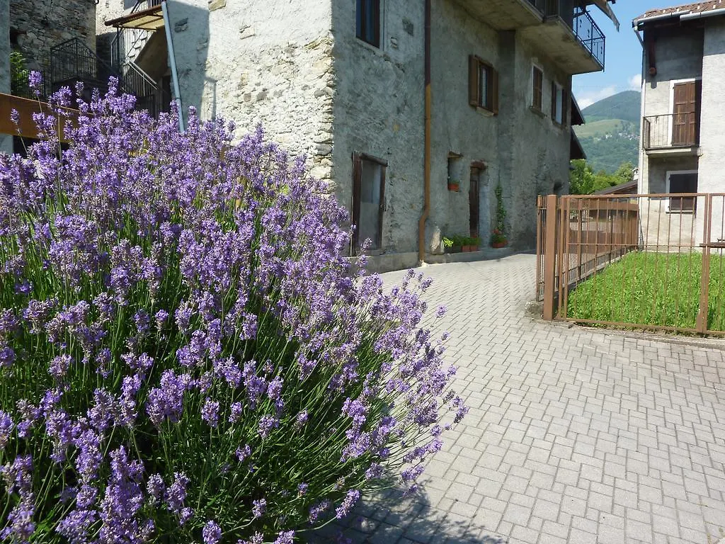 Piccola Perla A Livo Lägenhet Italien